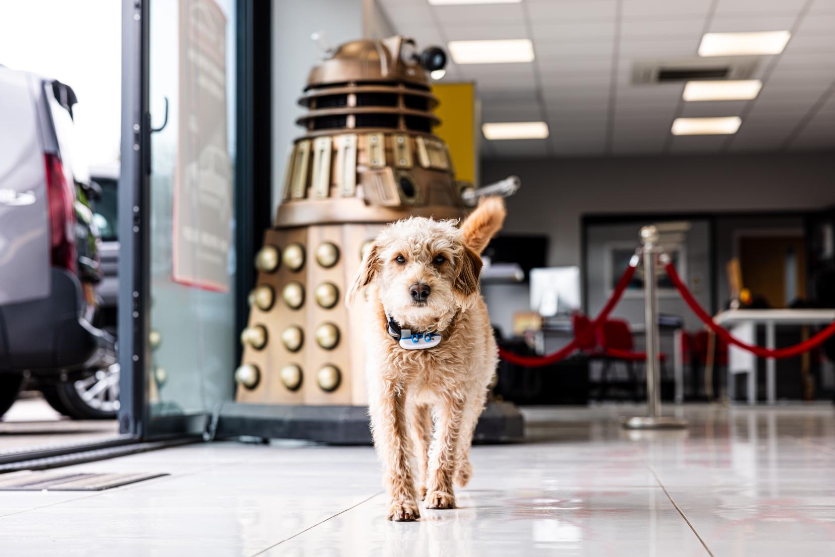 Peugeot Rifter AUTOMATIC MICRO CAMPER! BRAND NEW CONVERSION!! 1.5 BlueHDi Allure Premium Standard MPV 5dr Diesel EAT Euro 6 (s/s) (130 ps)